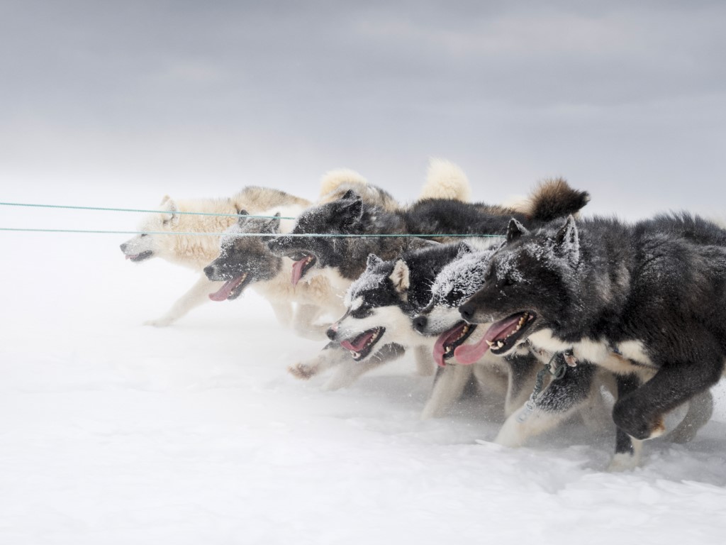NONAM NONAM: «An der Eiskante» - Nordgrönland im Fokus